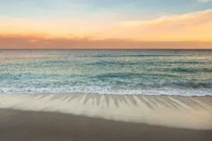 Why South Florida Is One of the Top Destinations for Addiction Treatment in the U.S.