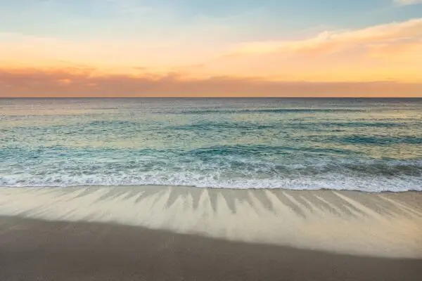 Why South Florida Is One of the Top Destinations for Addiction Treatment in the U.S.