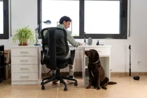 The Top 10 Low-Stress Jobs for People with Social Anxiety