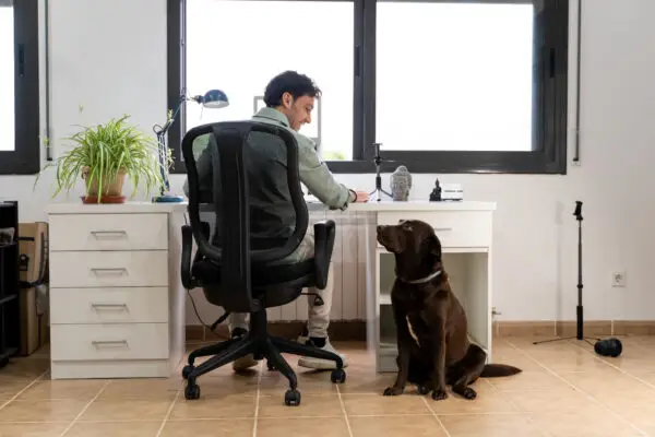 Person working quietly from a home office setup with a laptop and natural light, representing low-stress jobs for people with social anxiety